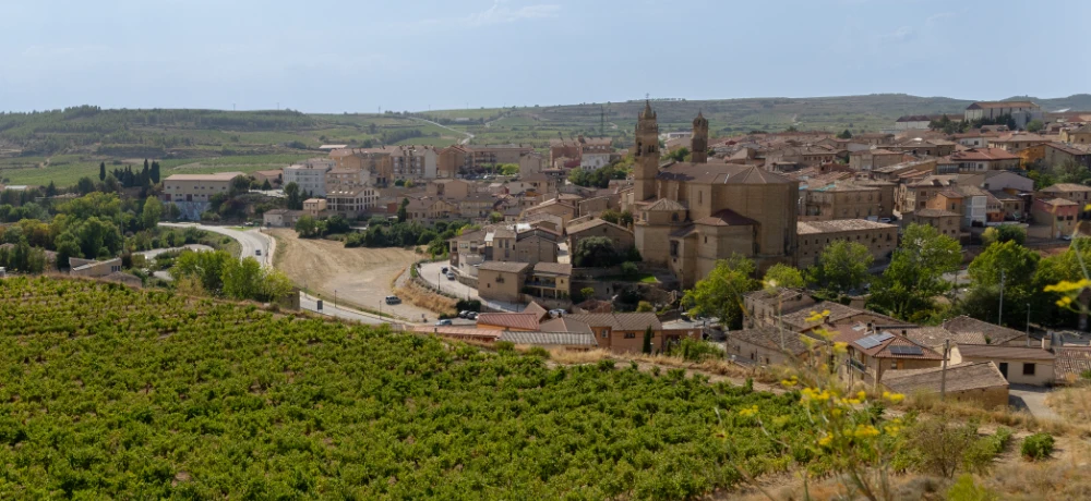 Descubre Rioja