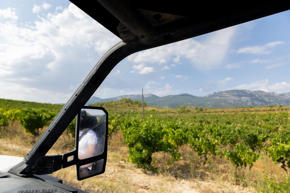 LAGA - Rioja Alavesa y Rioja Alta