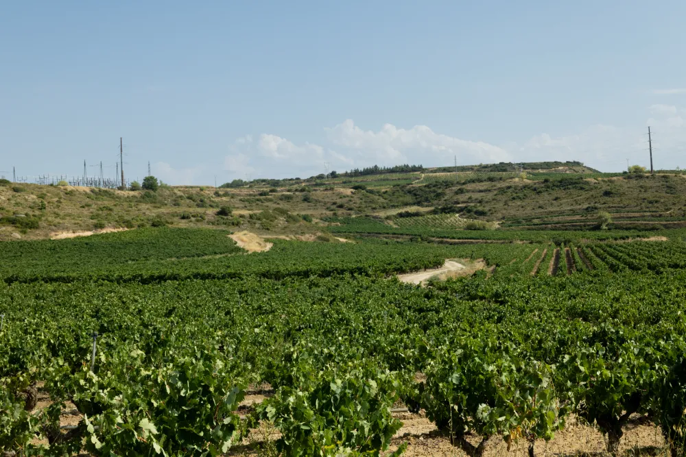 LAGA - Rioja Alta y Alavesa
