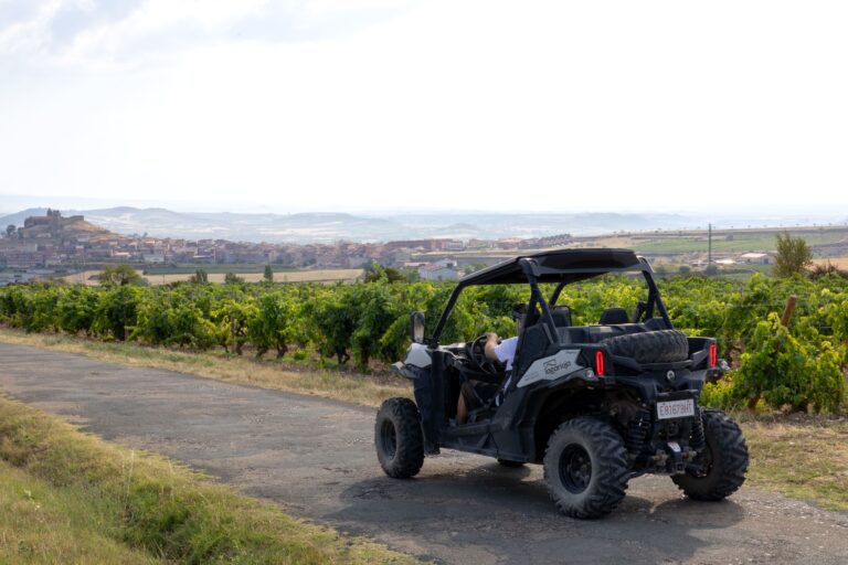 Bono regalo Ruta Sierra – Buggy para 2 personas