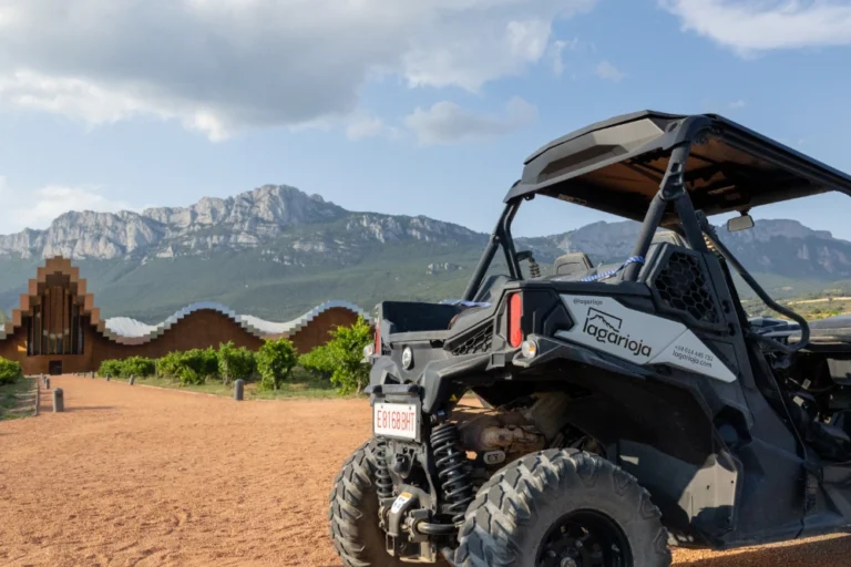 Bono regalo Ruta Viña – Buggy para 2 personas