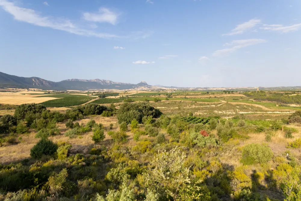 LAGA - Rioja Alta y Alavesa