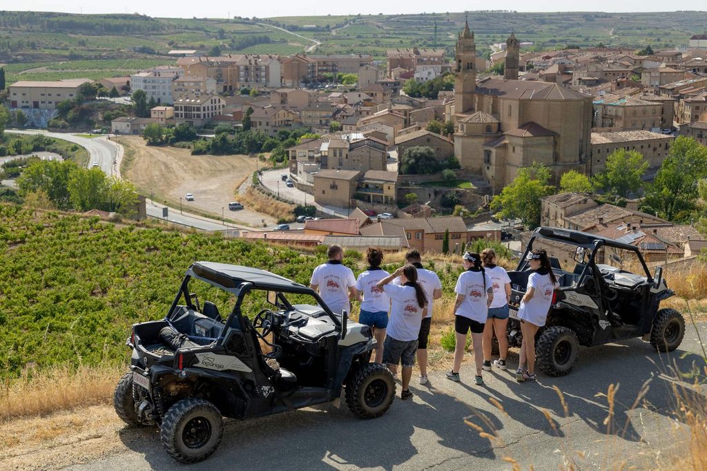 Group of visitors with the buggies at the viewpoint in Elciego