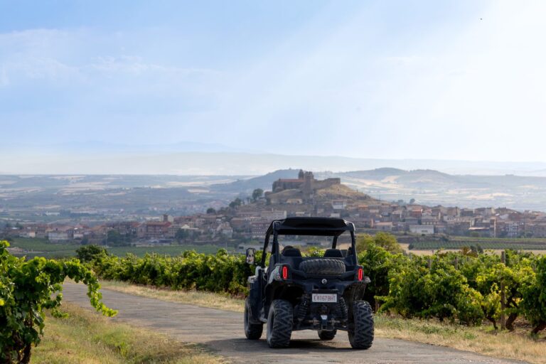 Viñedos de Rioja Alavesa con San Vicente de la Sonsierra en lo alto