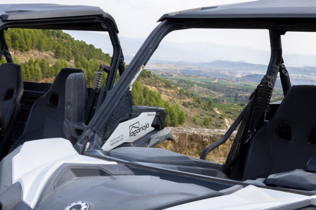 Interior de un buggy SSV: volante, asientos y estructura antivuelco
